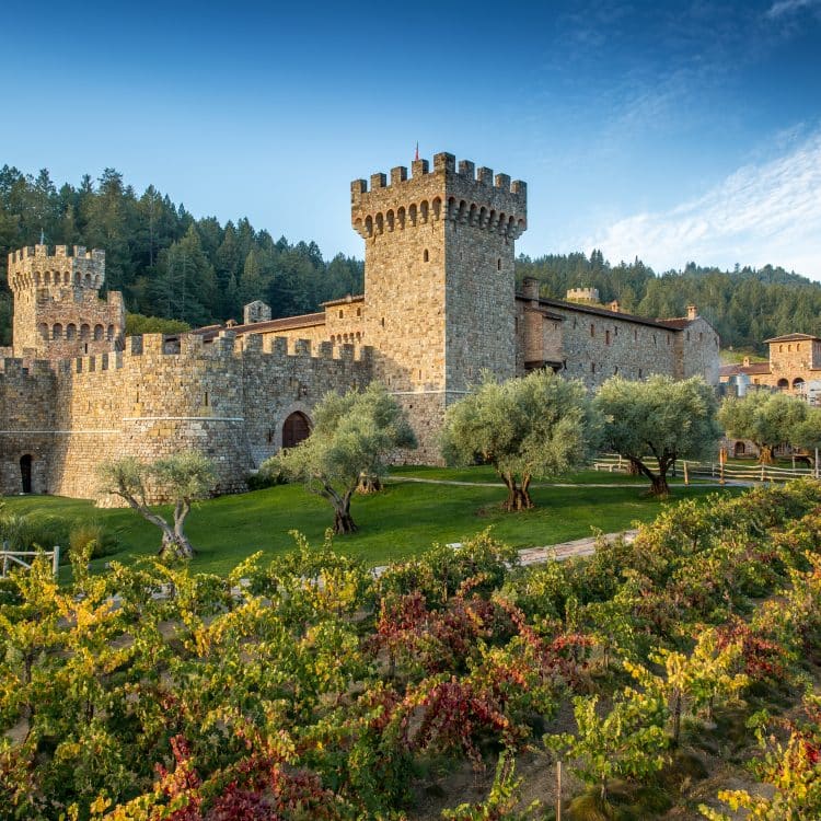 The world's most impressive wineries - Insignia The world's most impressive wineries - Insignia