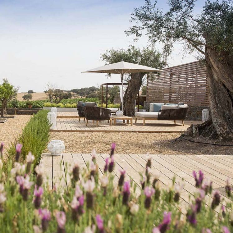 The world's most impressive wineries - Insignia The world's most impressive wineries - Insignia