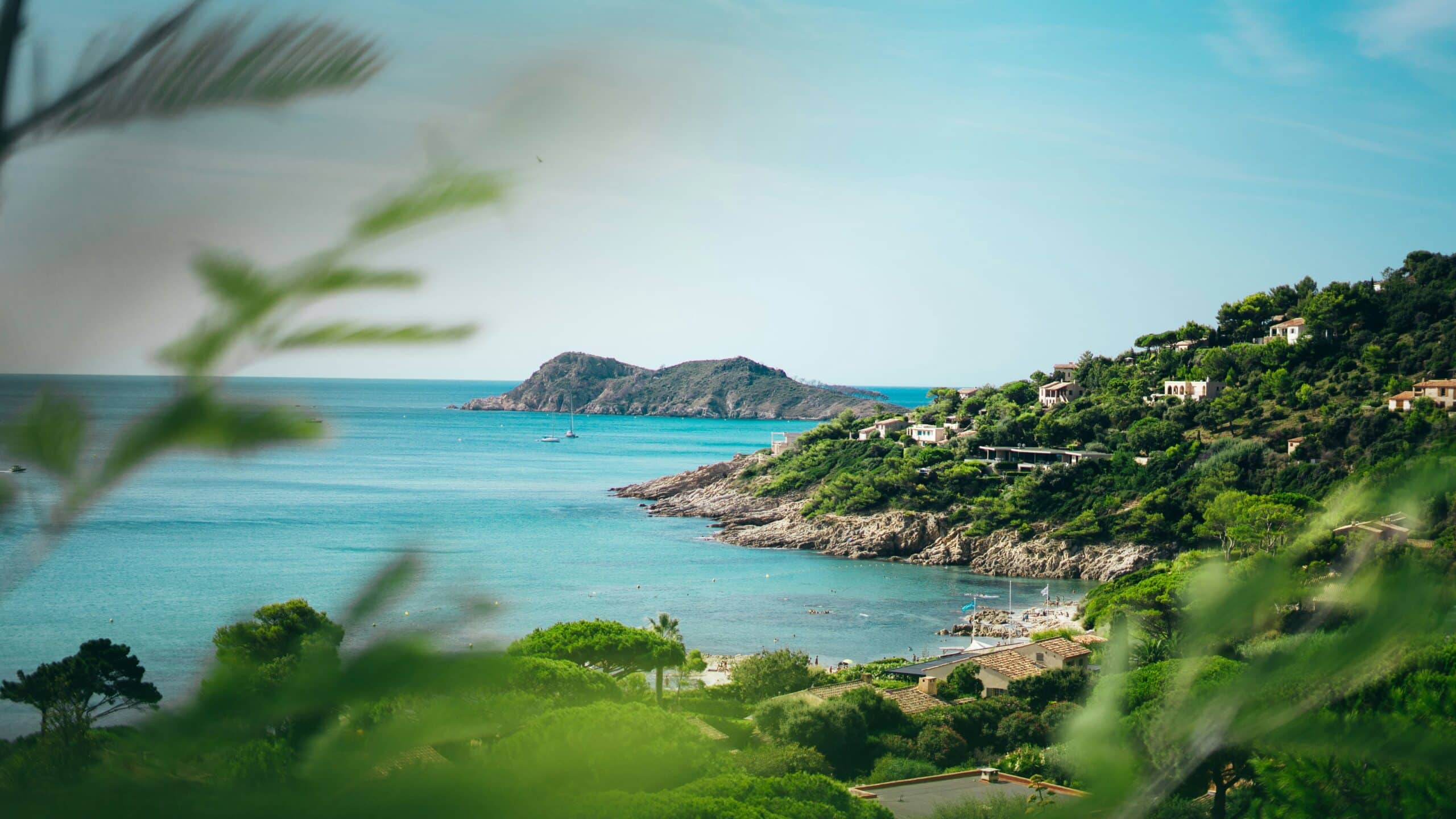 Saint Tropez Art Fair + Nikki Beach - Insignia