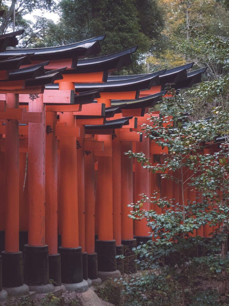 Discover Japan