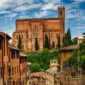 International Alba White Truffle Festival - Insignia