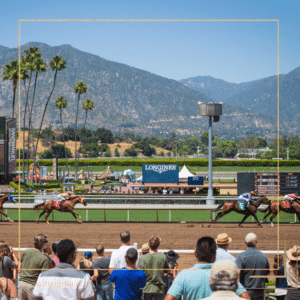 Breeders’ Cup - Insignia