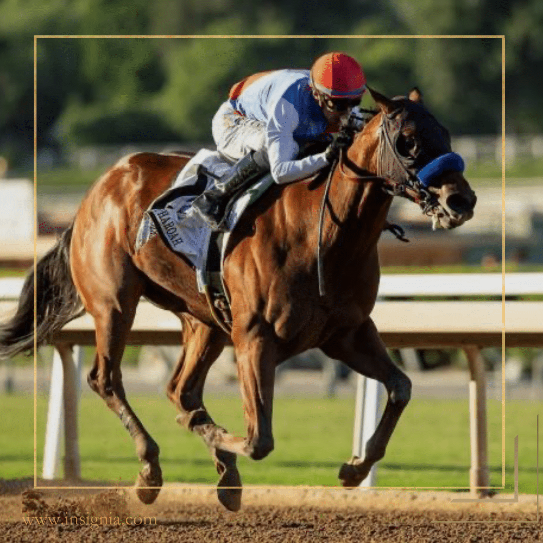 Website Events Section 32